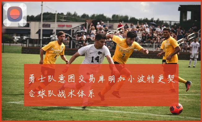 勇士队意图交易库明加小波特更契合球队战术体系