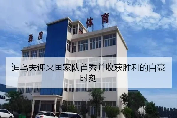迪乌夫迎来国家队首秀并收获胜利的自豪时刻